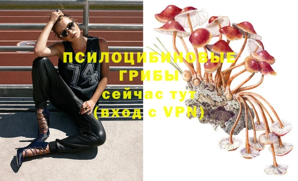 дурь Надым
