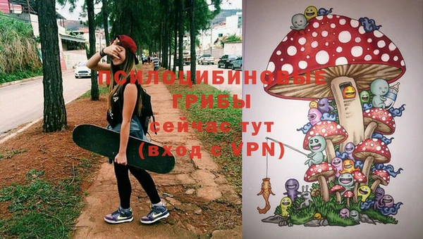экстази Михайлов