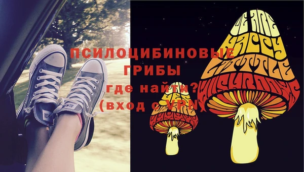гашик Кущёвская