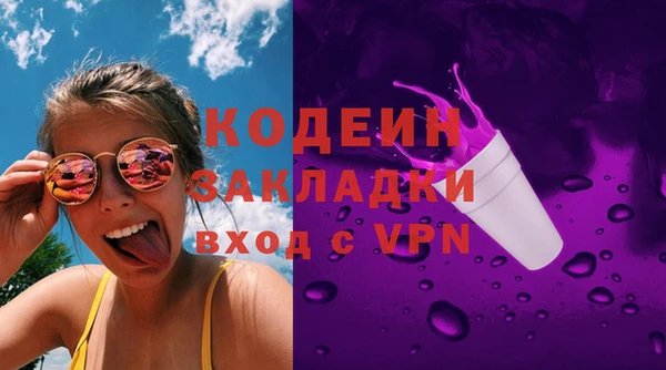 дживик Чегем