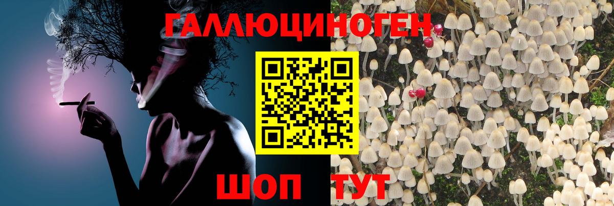 Крымск  даркнет сайт  Вход с VPN  Галлюциногенные грибы Psilocybe 