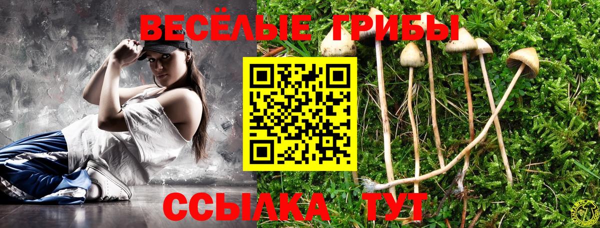 Галлюциногенные грибы Psilocybine cubensis Крымск